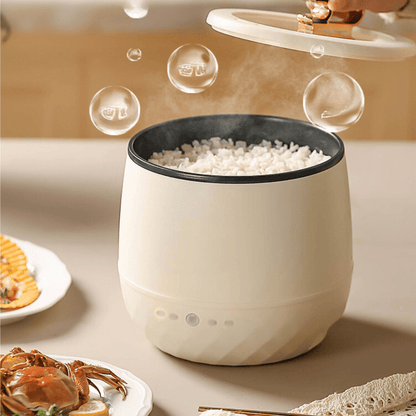 Multi-Purpose Stylish Household Mini Cooker